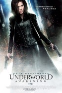 Karanlıklar Ülkesi: Uyanış Türkçe Dublaj izle - Underworld: Awakening izle