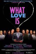 Aşk Dediğin Nedir Türkçe Dublaj izle - What Love Is izle