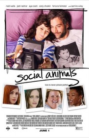 Social Animals - Sosyal Hayvanlar izle